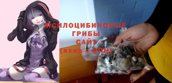 дурь Алзамай
