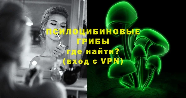 дурь Алзамай