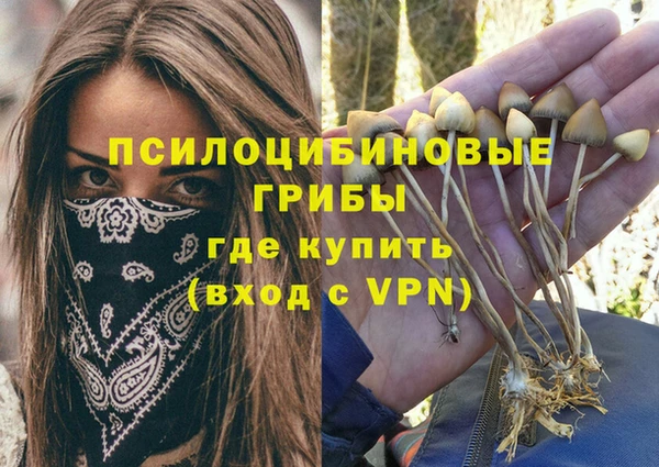 дурь Алзамай