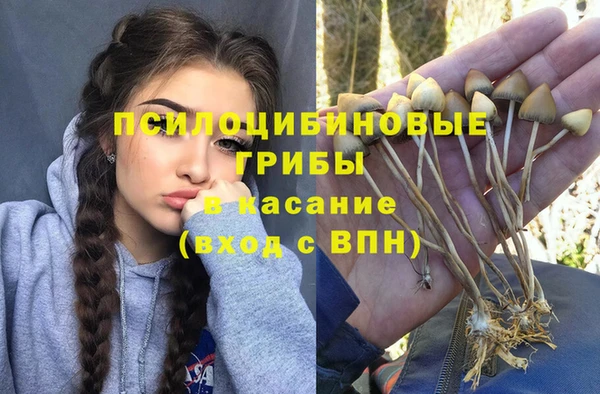 дурь Алзамай