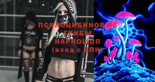 бошки Алексеевка
