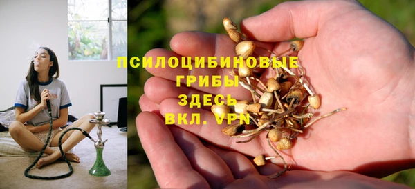 бошки Алексеевка