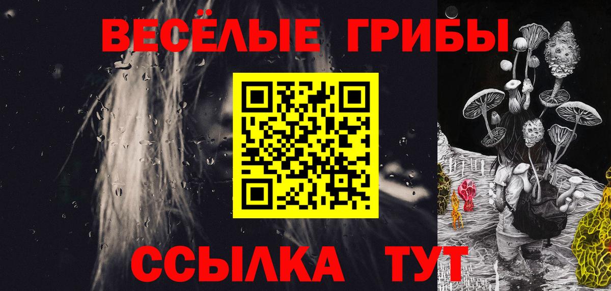Псилоцибиновые грибы GOLDEN TEACHER  наркота  Димитровград  Вход с VPN  Галлюциногенные грибы Magic Shrooms 